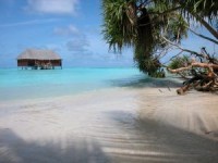 /album/fotogalerie/maledivy-dum-plaz-jpg/